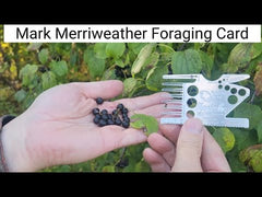 Mark Merriweather Foraging Card : Credit Card Size Wild Edibles Foraging Kit