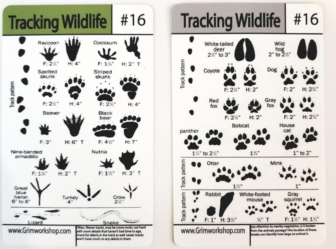 #16 Tracking Tip Card (Prints)-Grimworkshop-bugoutbag-bushcraft-edc-gear-edctool-everydaycarry-survivalcard-survivalkit-wilderness-prepping-toolkit
