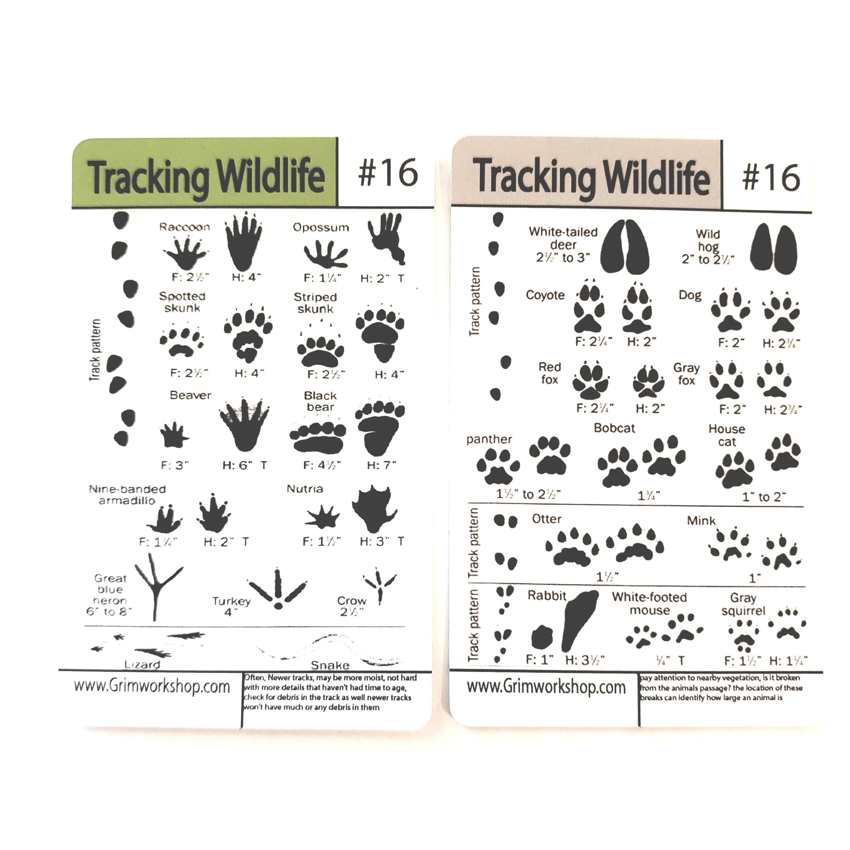 #16 Tracking Tip Card (Prints)-Grimworkshop-bugoutbag-bushcraft-edc-gear-edctool-everydaycarry-survivalcard-survivalkit-wilderness-prepping-toolkit