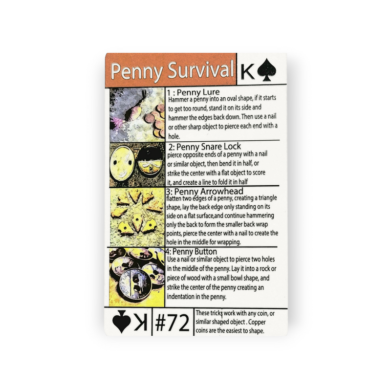 Tip Card #72 Survival with a Penny