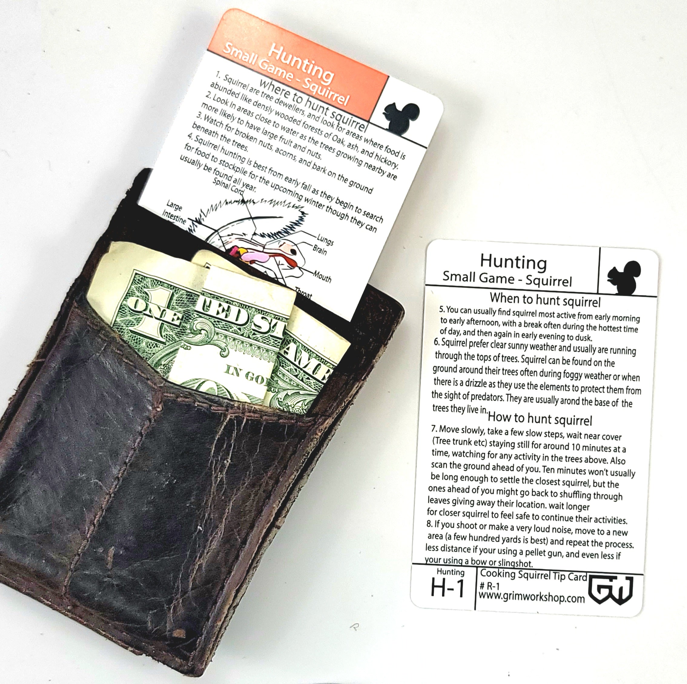 Squirrel Hunting Tip Card H-1