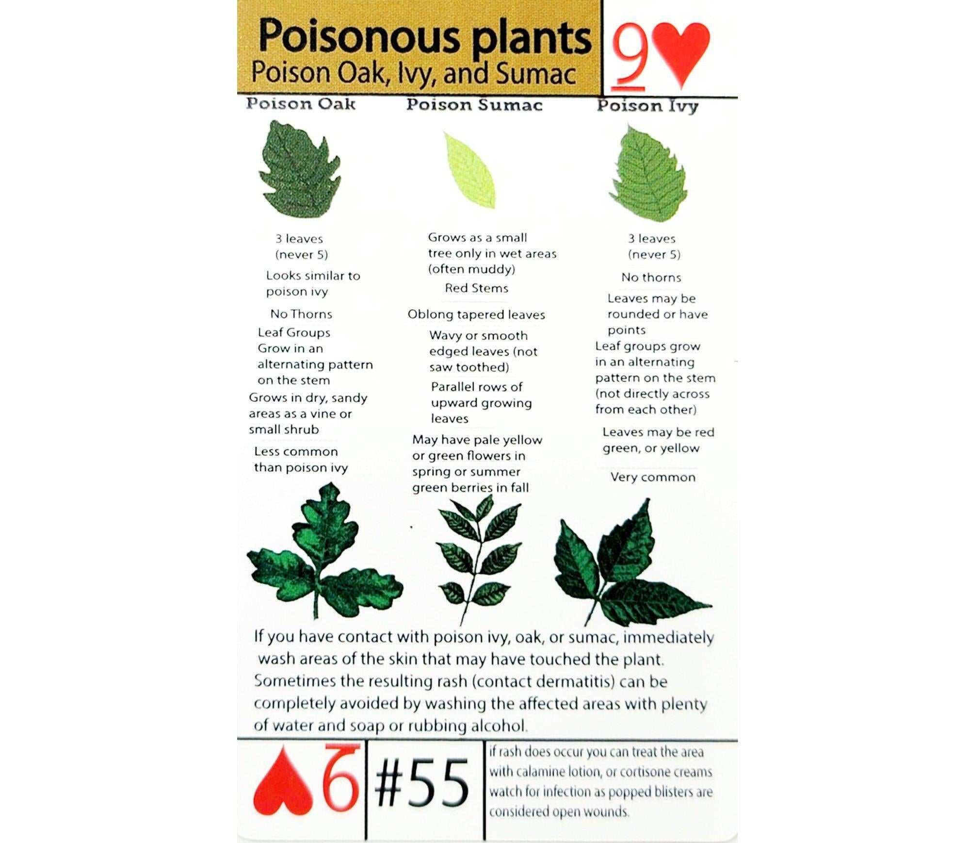 #55 Poisonous Plant Identification-Grimworkshop-bugoutbag-bushcraft-edc-gear-edctool-everydaycarry-survivalcard-survivalkit-wilderness-prepping-toolkit